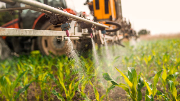 Best Mosquito Control Services  in Happy Valley, CA